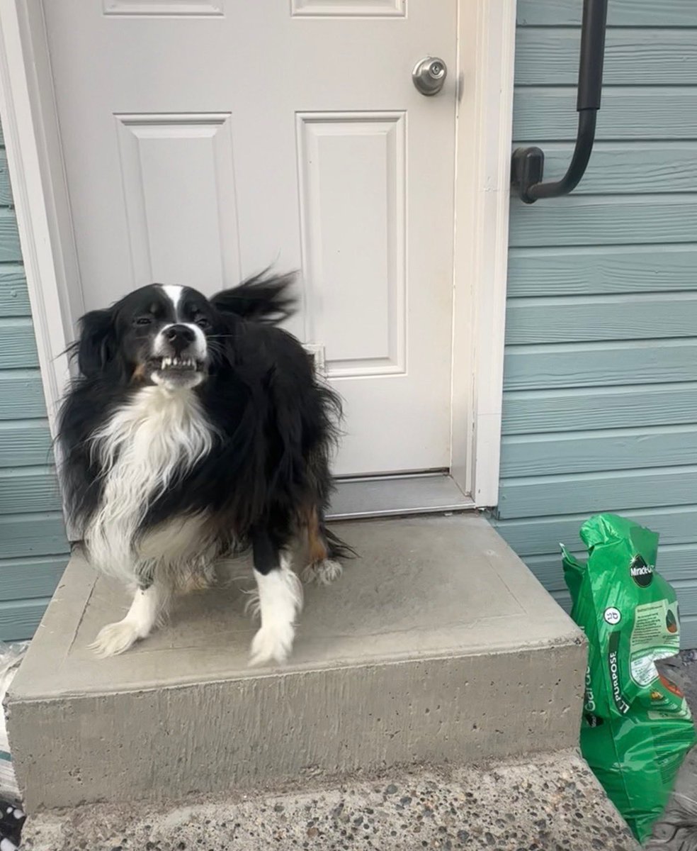 May 🐸🎨 tweet media