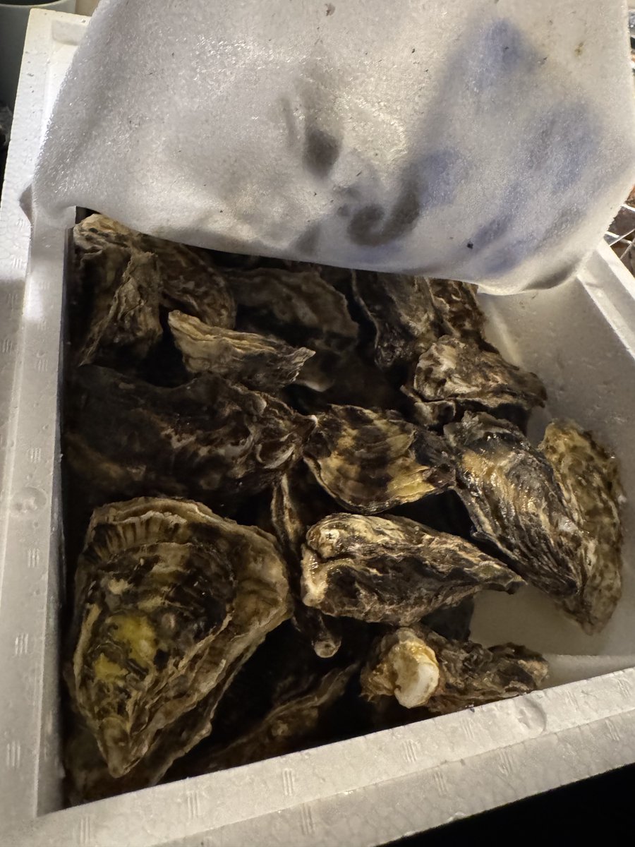 ばぶ（ポエマー） tweet media