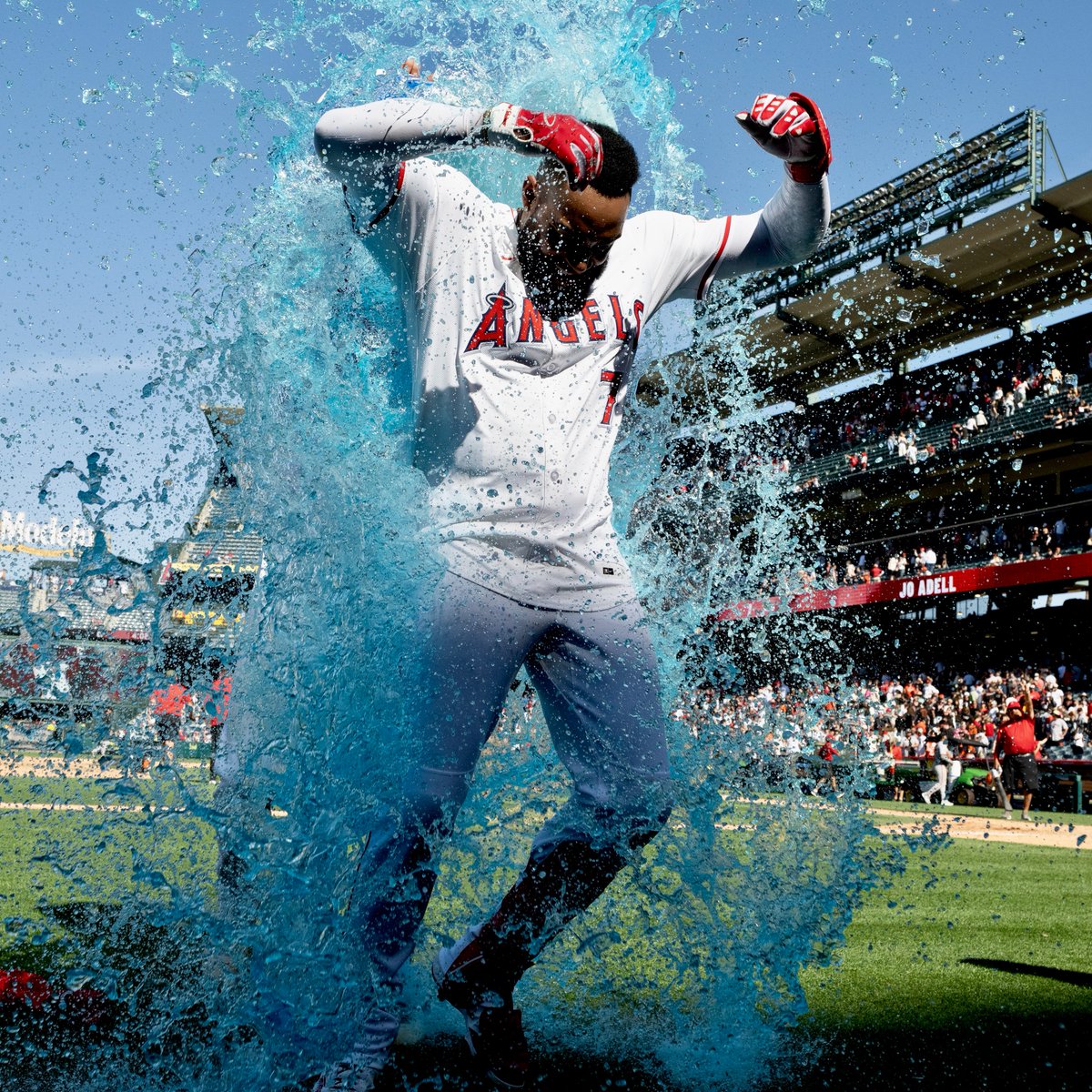 Los Angeles Angels tweet media