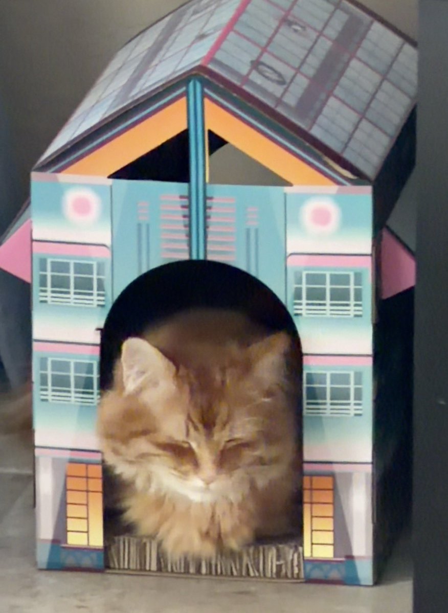 Andrew McCarthy tweet media