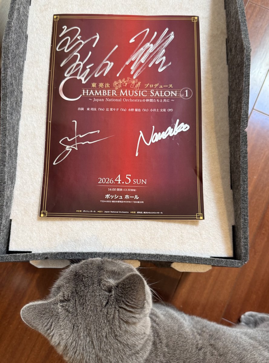 ゆー(ᯫ᳐⦁⩊⦁ᯫ᳐)ฅʾʾ tweet media