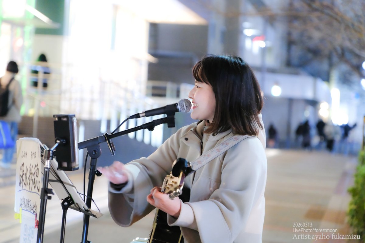 月と森＊Live Photo tweet media