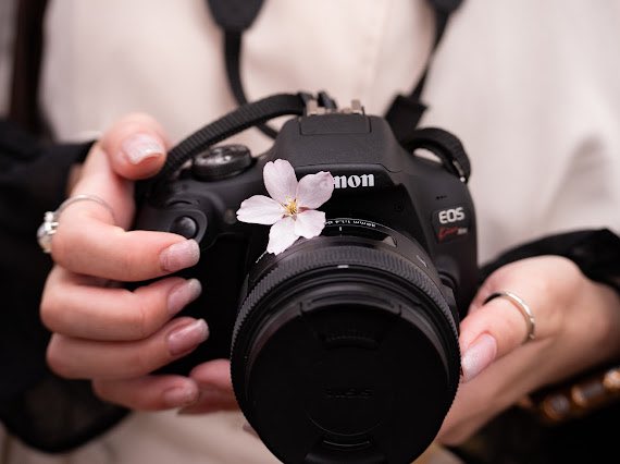 めあり tweet media