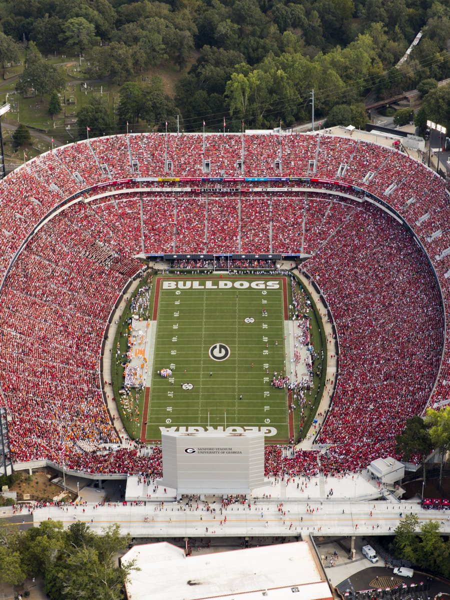 ℍ𝕒𝕞𝕚𝕝𝕥𝕠𝕟⚡️ tweet media