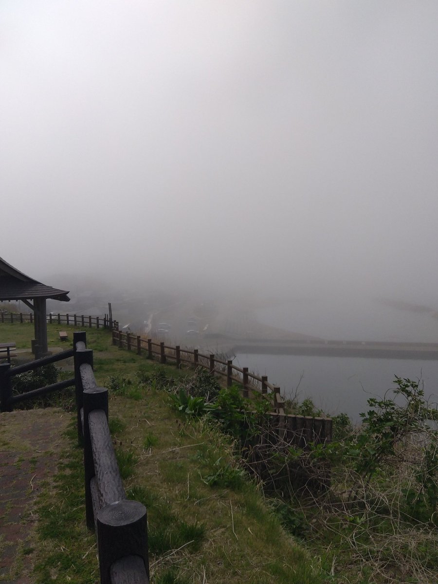 森之狸 tweet media