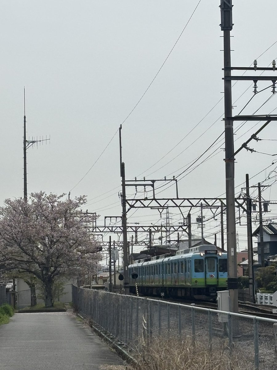 lovesnoopy tweet media