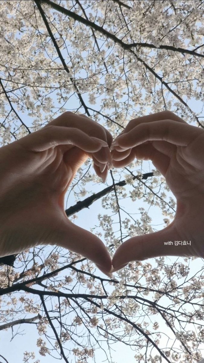 𐔌 . ⋮ Seera .ᐟ ֹ ₊ ꒱ tweet media