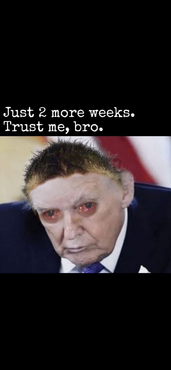 Slank〽️an tweet media