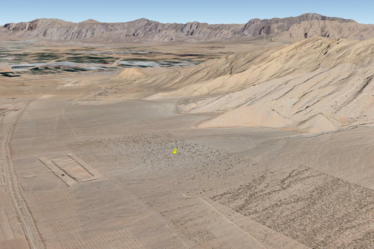 Armchair Warlord tweet media