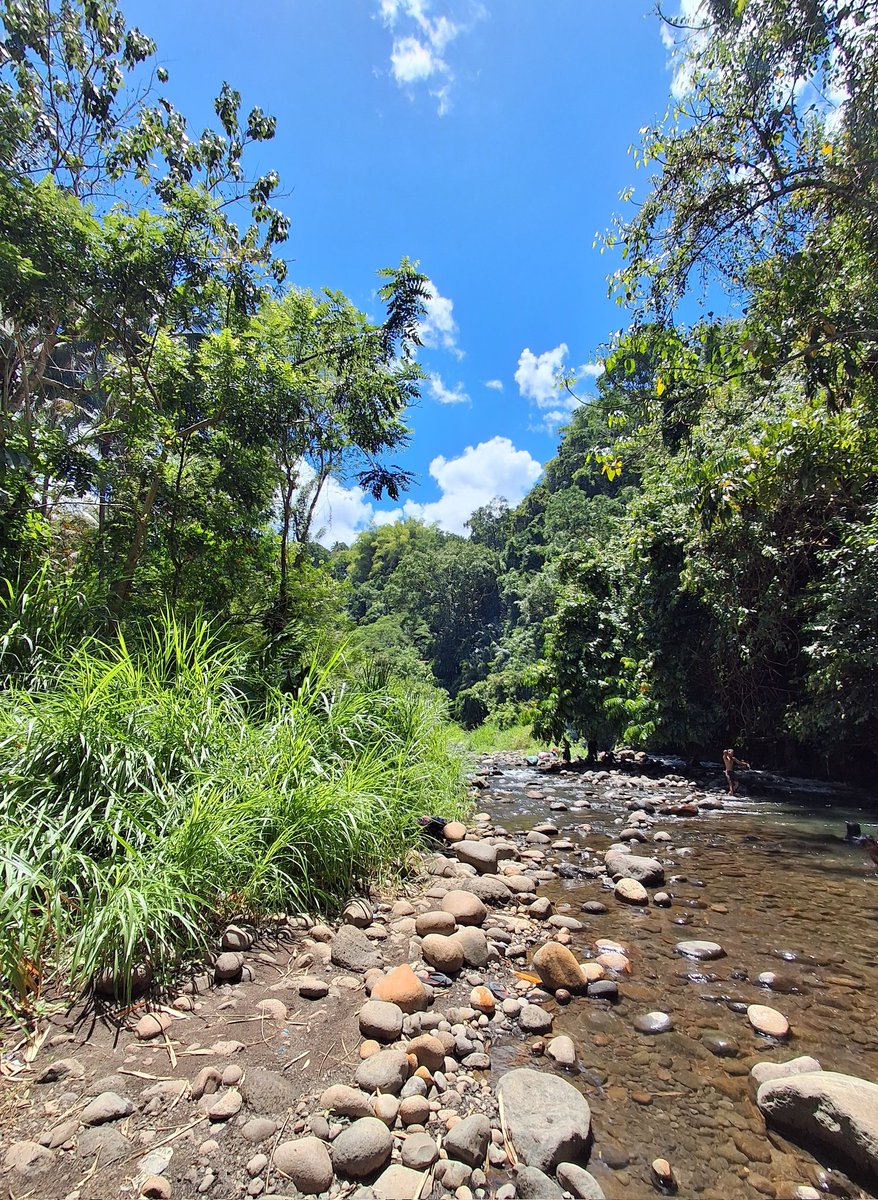 a®️wen tweet media