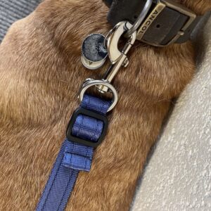 ✿ 𝐒𝐚𝐤𝐮𝐫𝐚 𝐋𝐚𝐮𝐫𝐞𝐥 ✿ tweet media