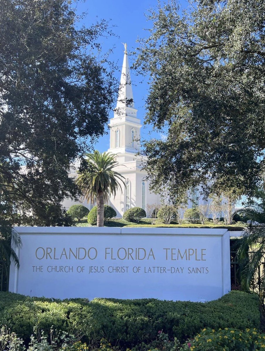 BYU Florida 🐆⚔️ tweet media