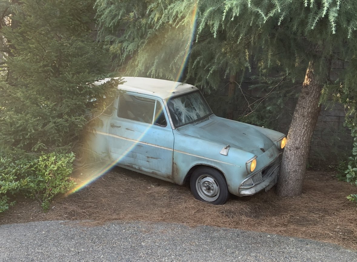 フルハウスはいいぞ！☃🐰‎🤍【雪民】 tweet media