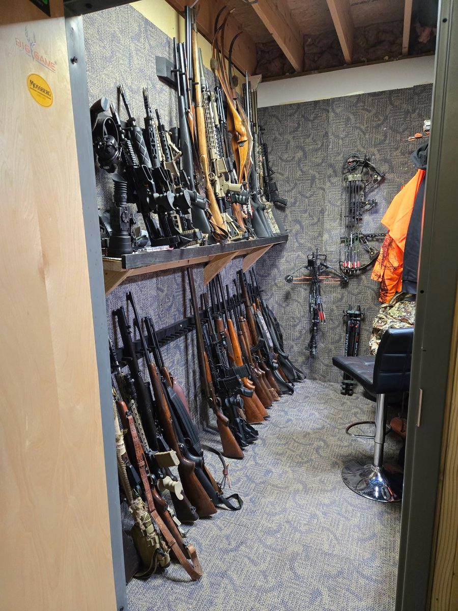 American Muse tweet media