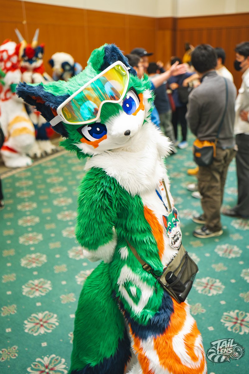 TailLens(テイルレンズ)🦝📸▶未定 tweet media