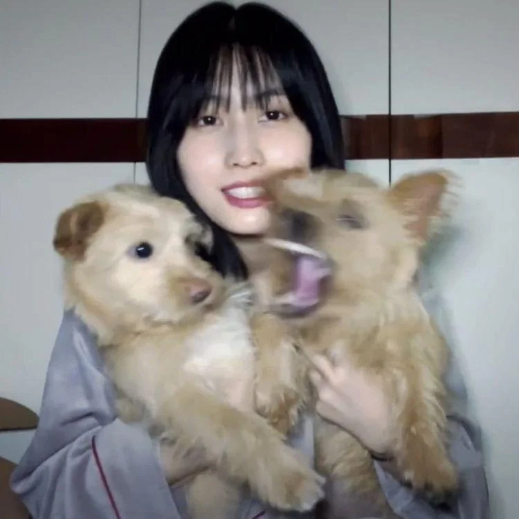 ᵏ •ᴗ• LIL FANTASY tweet media