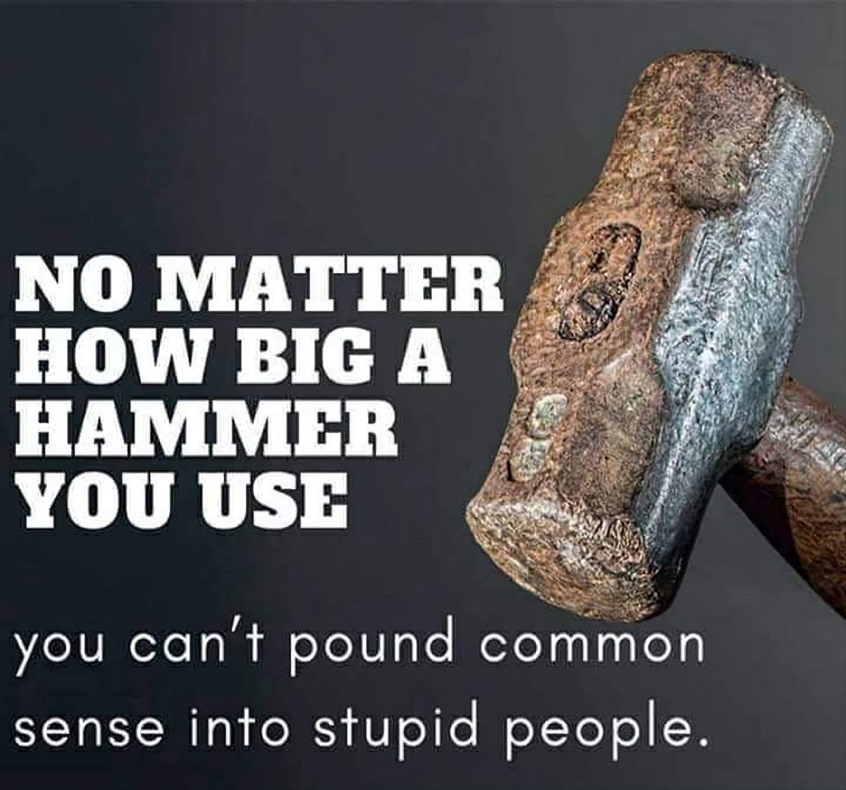 wolfman4807 tweet media