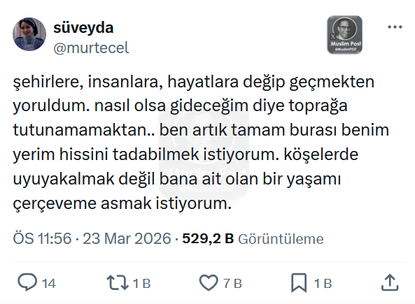 Müslüman Tweet tweet media