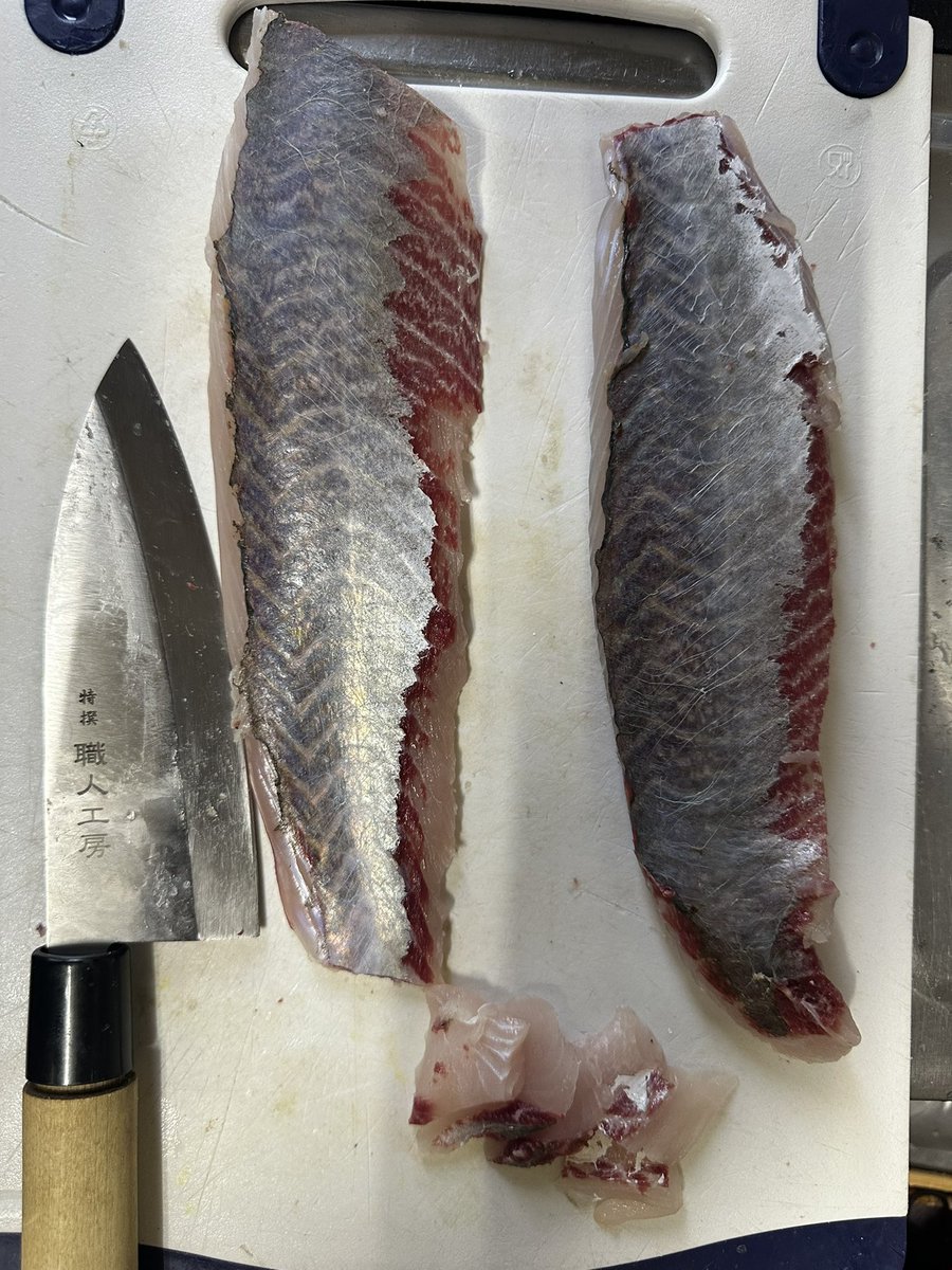 maluseigo's tweet photo. 船長さんに勧められて初めてボラ食べました。
冬場の沖海のボラは臭みゼロのまさに「脂の乗ったマダイ」です。
偏った先入観もって釣るのは良くないなと言う事を学びました。

毎年厳しい釣果となる冬期は、沖に出てボラを狩るという事を決意しました。

あの海面びっしりのボラは私だけのものです https://t.co/9Q9i9LOWYA