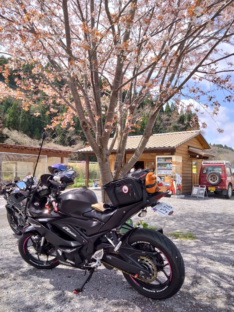 nico ringo🍎 tweet media