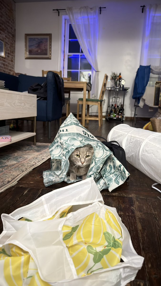 예자 🇵🇸 tweet media