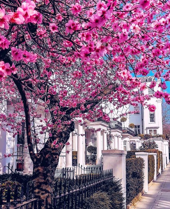 Aesthetics tweet media