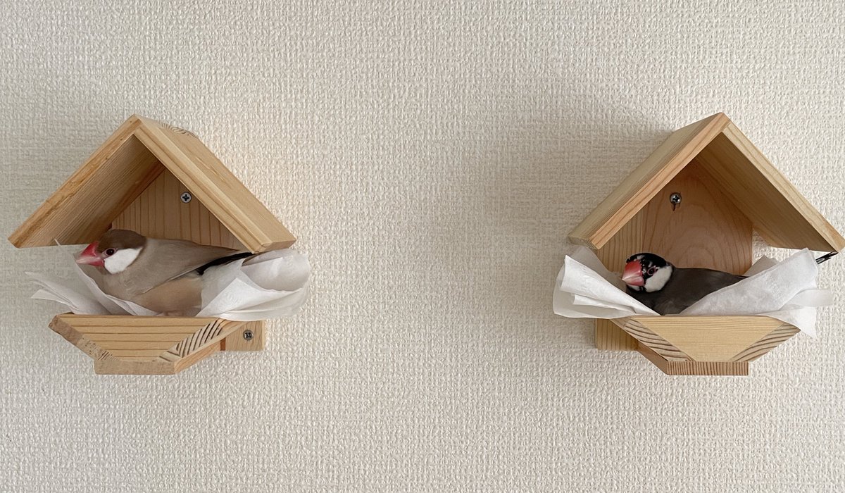 ひなぴ𓅪もみちゃん𓅪おみぴ tweet media