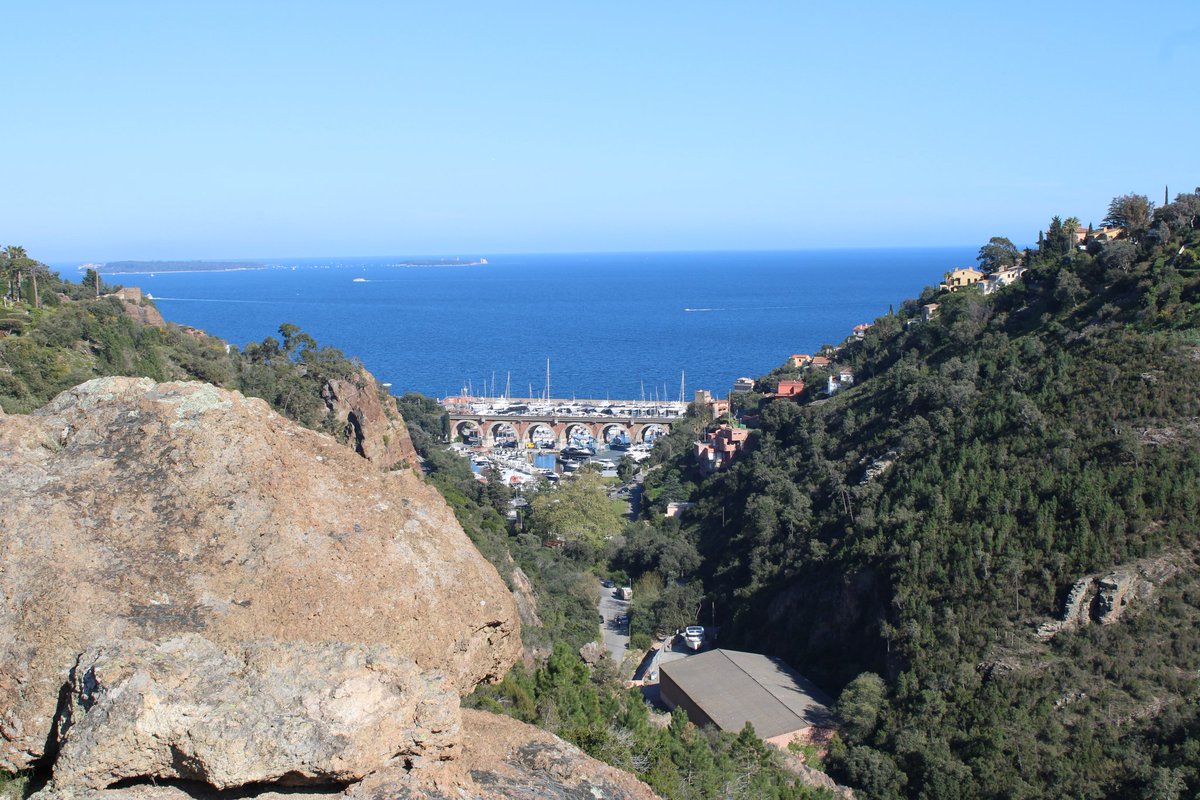 Oni-Link 📸 tweet media