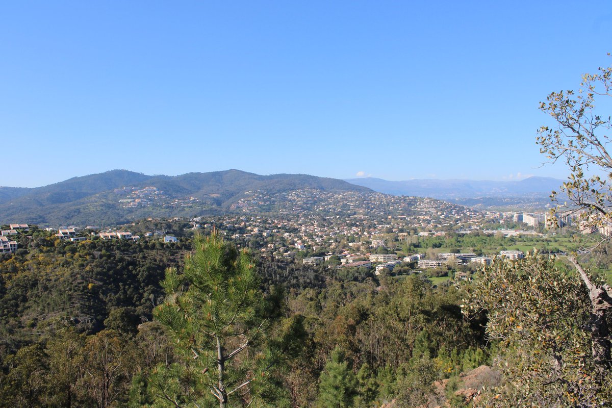 Oni-Link 📸 tweet media