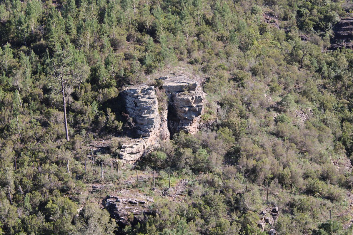 Oni-Link 📸 tweet media