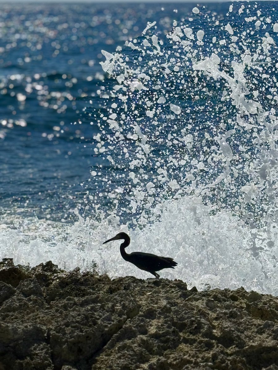 Spongebob SquareAss tweet media