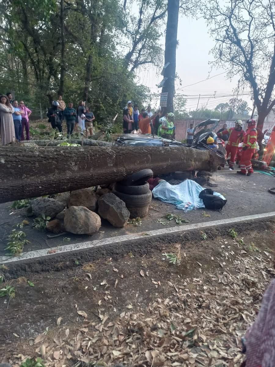 El Dato Noticias Morelos 📰 tweet media