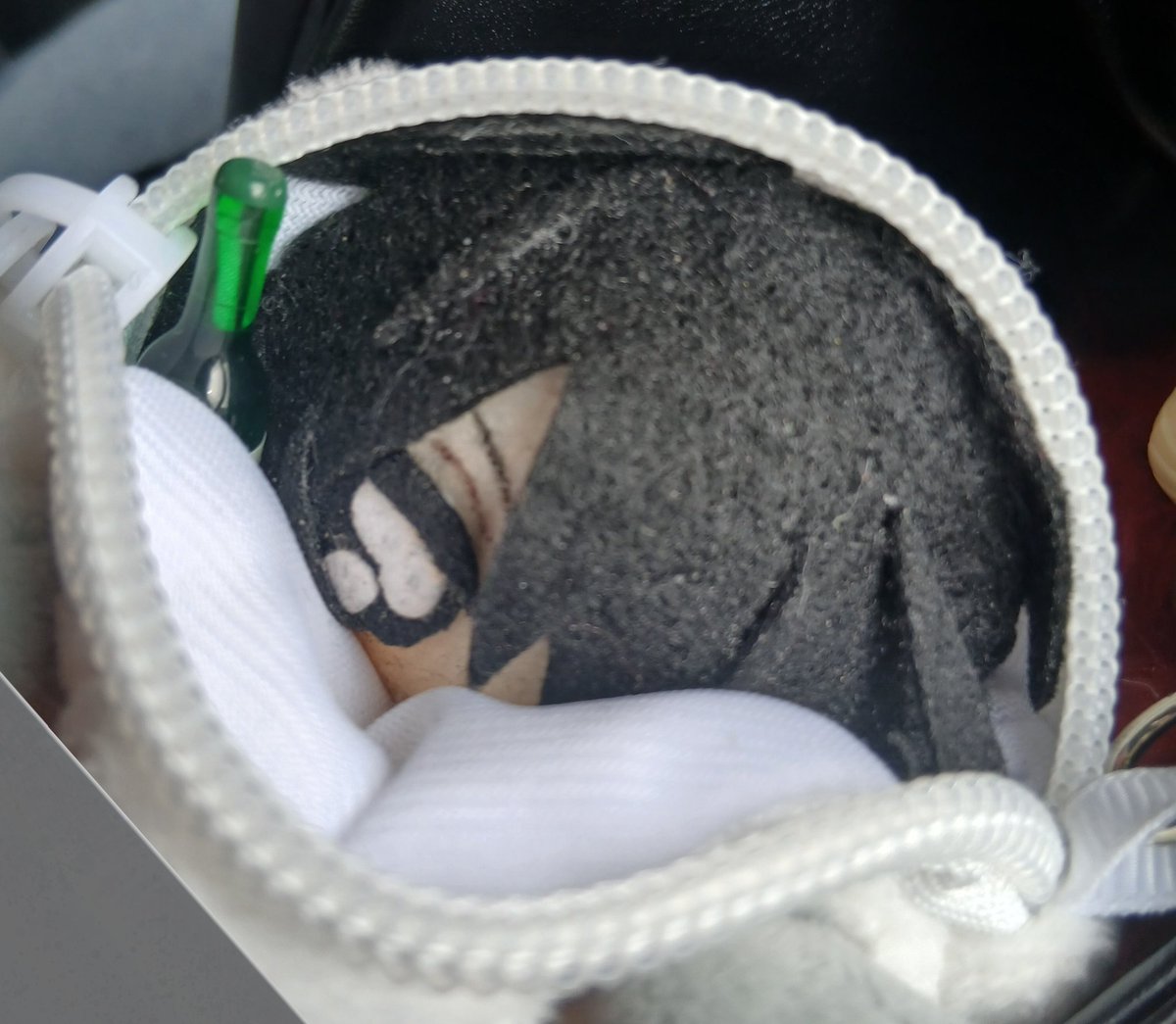 꽈꽈뀨 tweet media