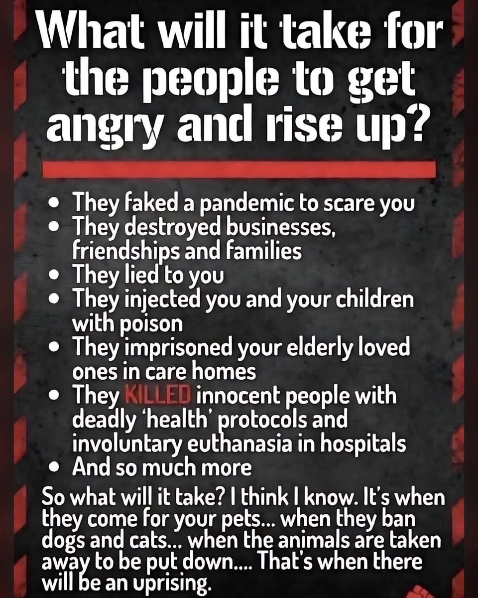 muffy kittens 🦘🇦🇺🌷🌍🦜🐕🐕 tweet media