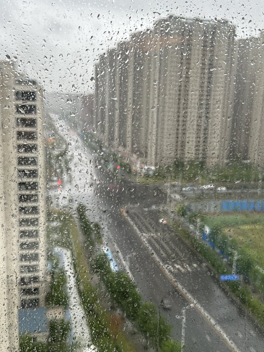 朝の光で考える tweet media