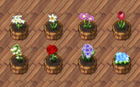 무리수담 tweet media