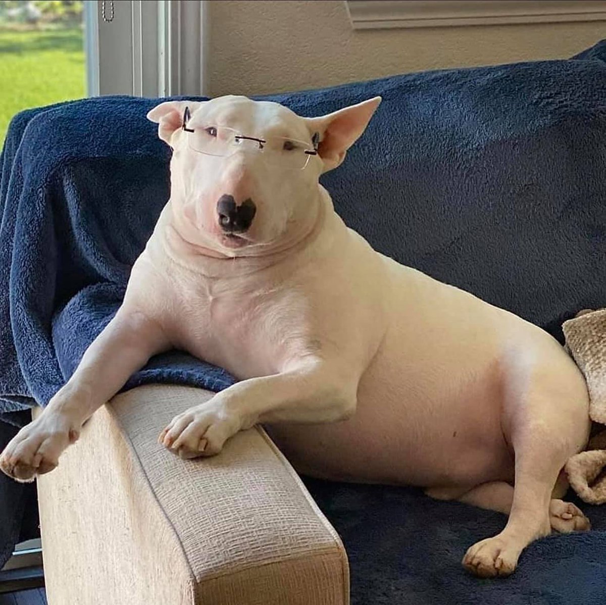 C.R comic tweet media