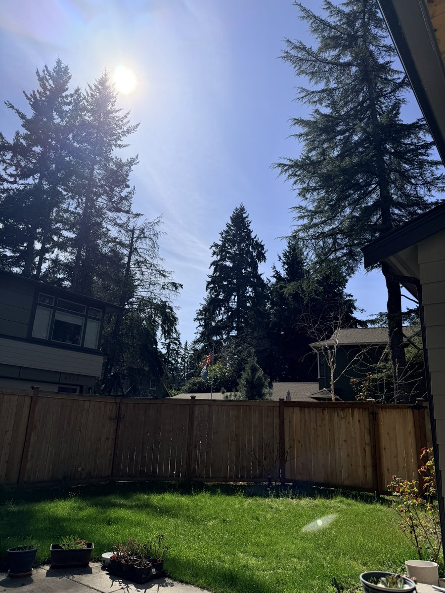 Melissa Avitia tweet media