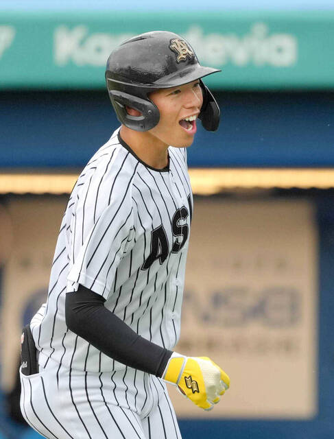 ドラペイ tweet media