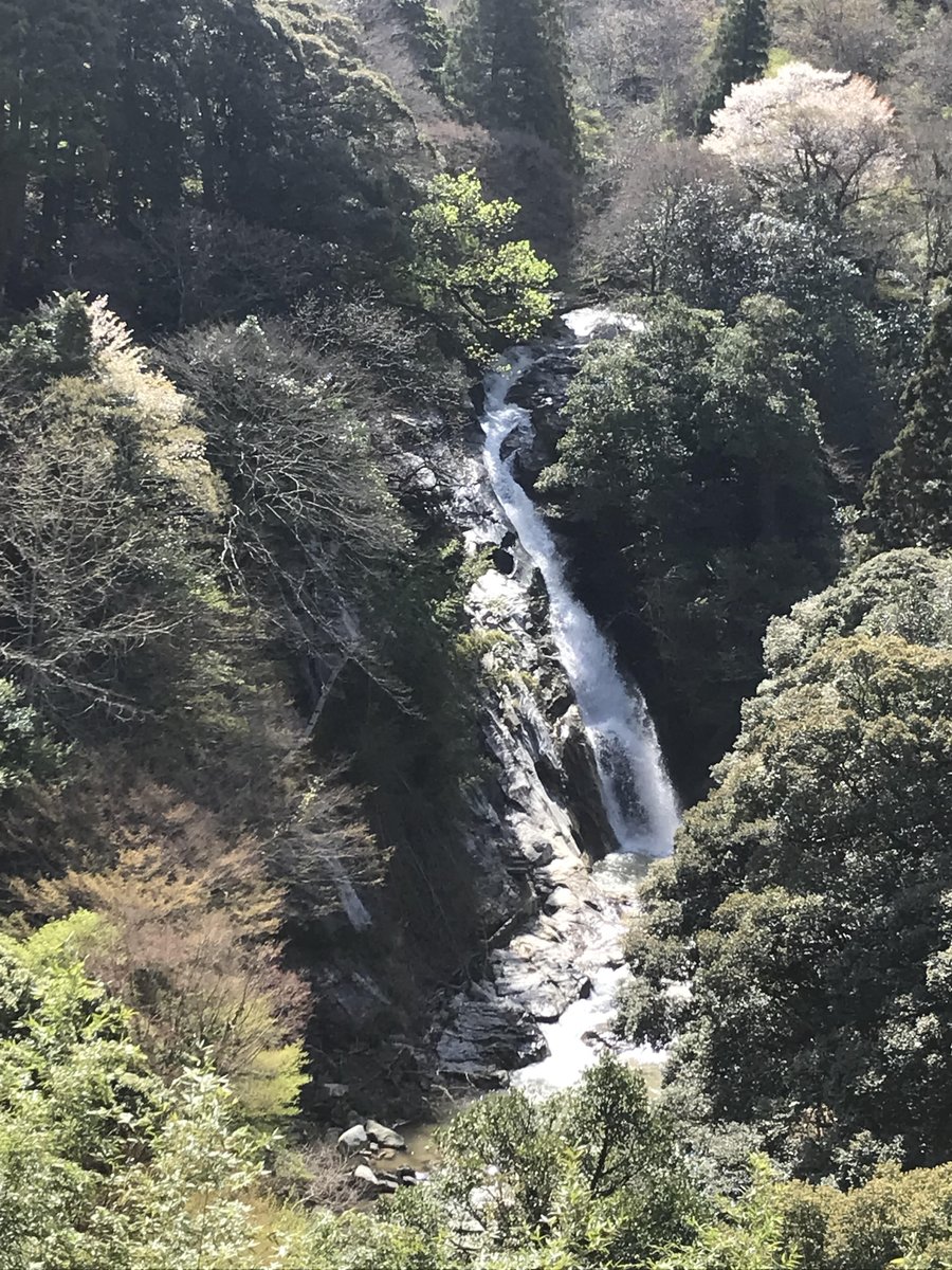 さだ坊 tweet media