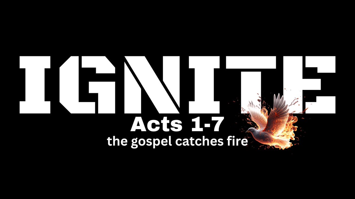 Alan Stoddard tweet media