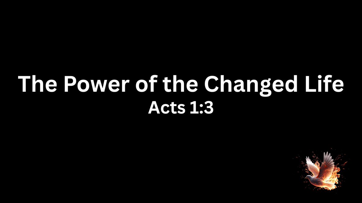 Alan Stoddard tweet media