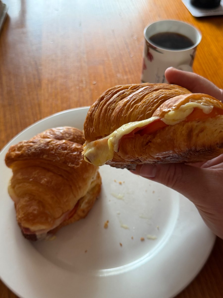 Leftover croissants from Easter. Ham, cheese &amp; Tomato.