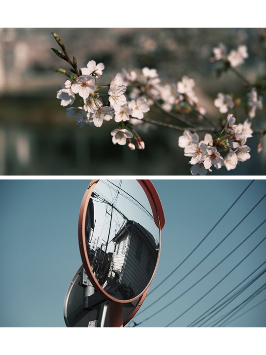 𝗠𝗔𝗦𝗔𝗢 tweet media