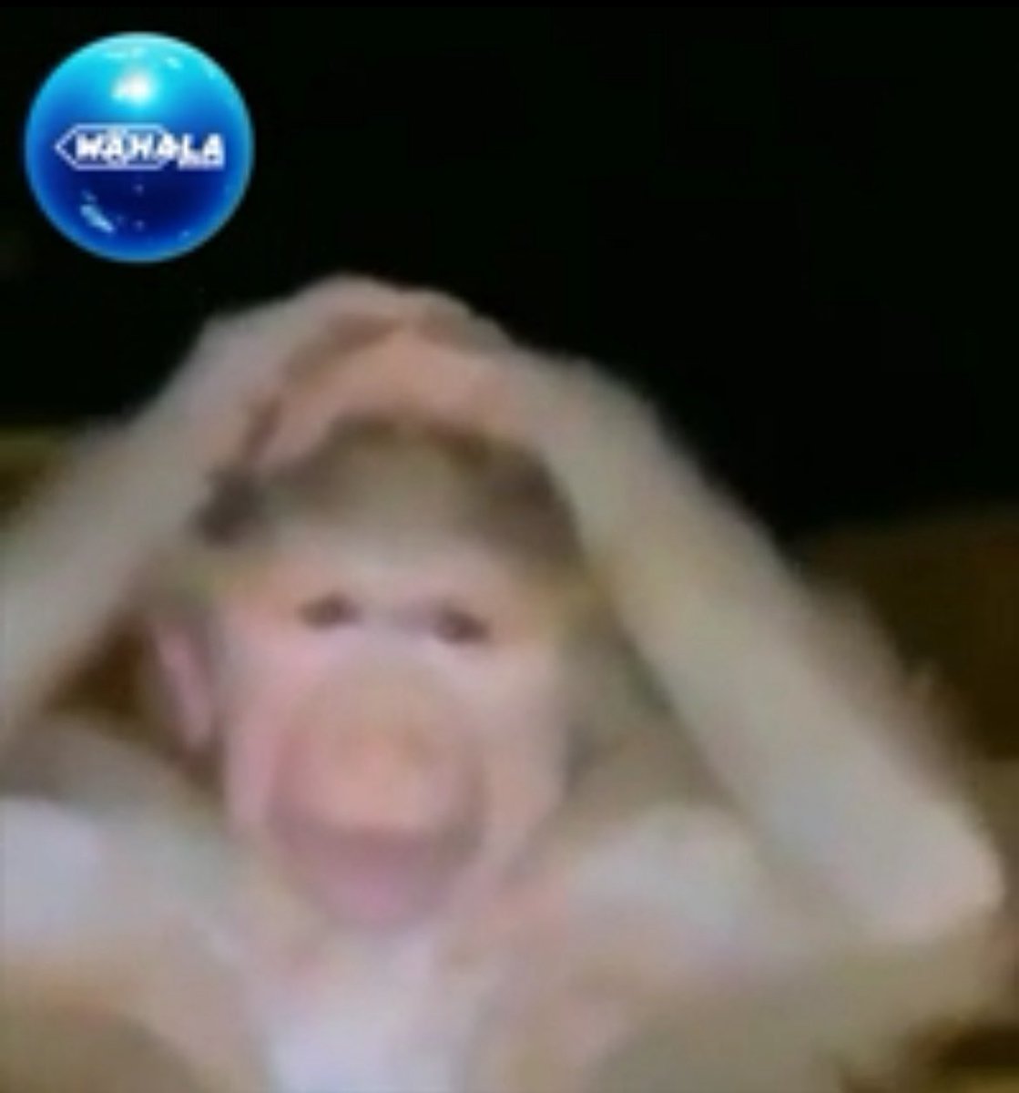 arigato 🫵🏾 tweet media