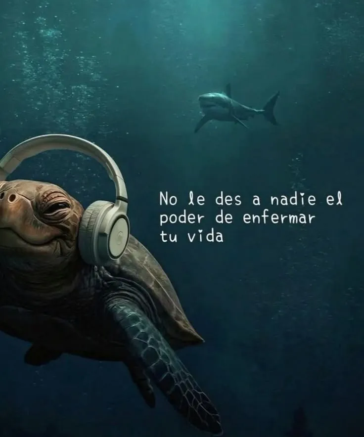 Toma nota.