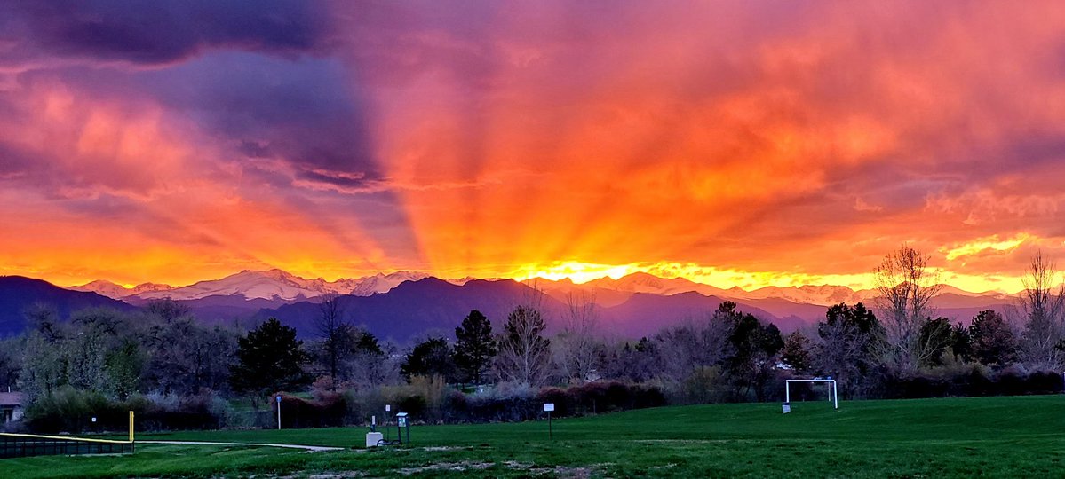 Michael Davis tweet media