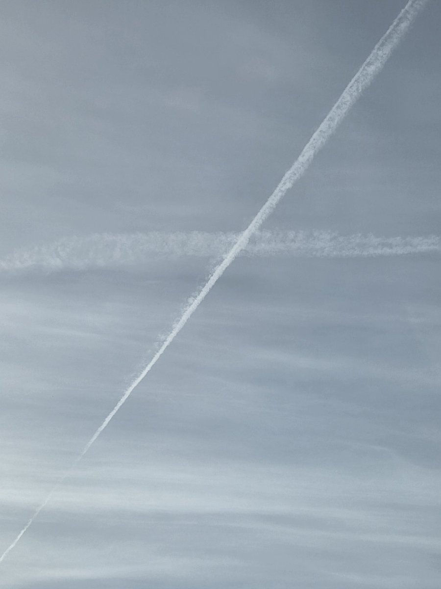 BCBarracuda tweet media