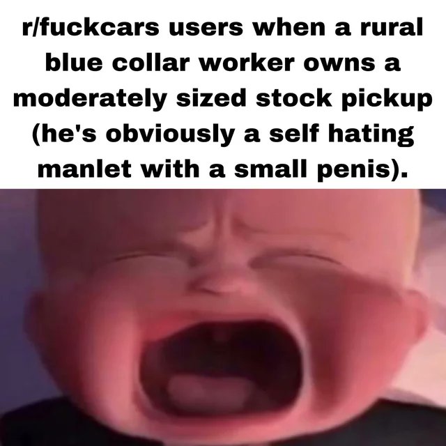 Insane Anti Car People tweet media