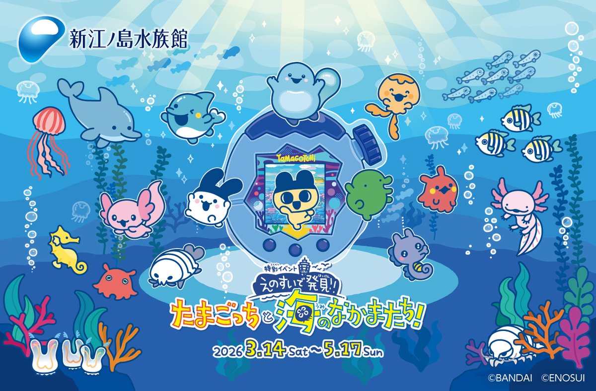 EMot｜エモット tweet media